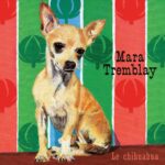 Mara Tremblay - Le Chihuahua Cover