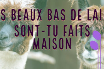 Playlist: Tes beaux bas de laine, sont-tu faits maison ?